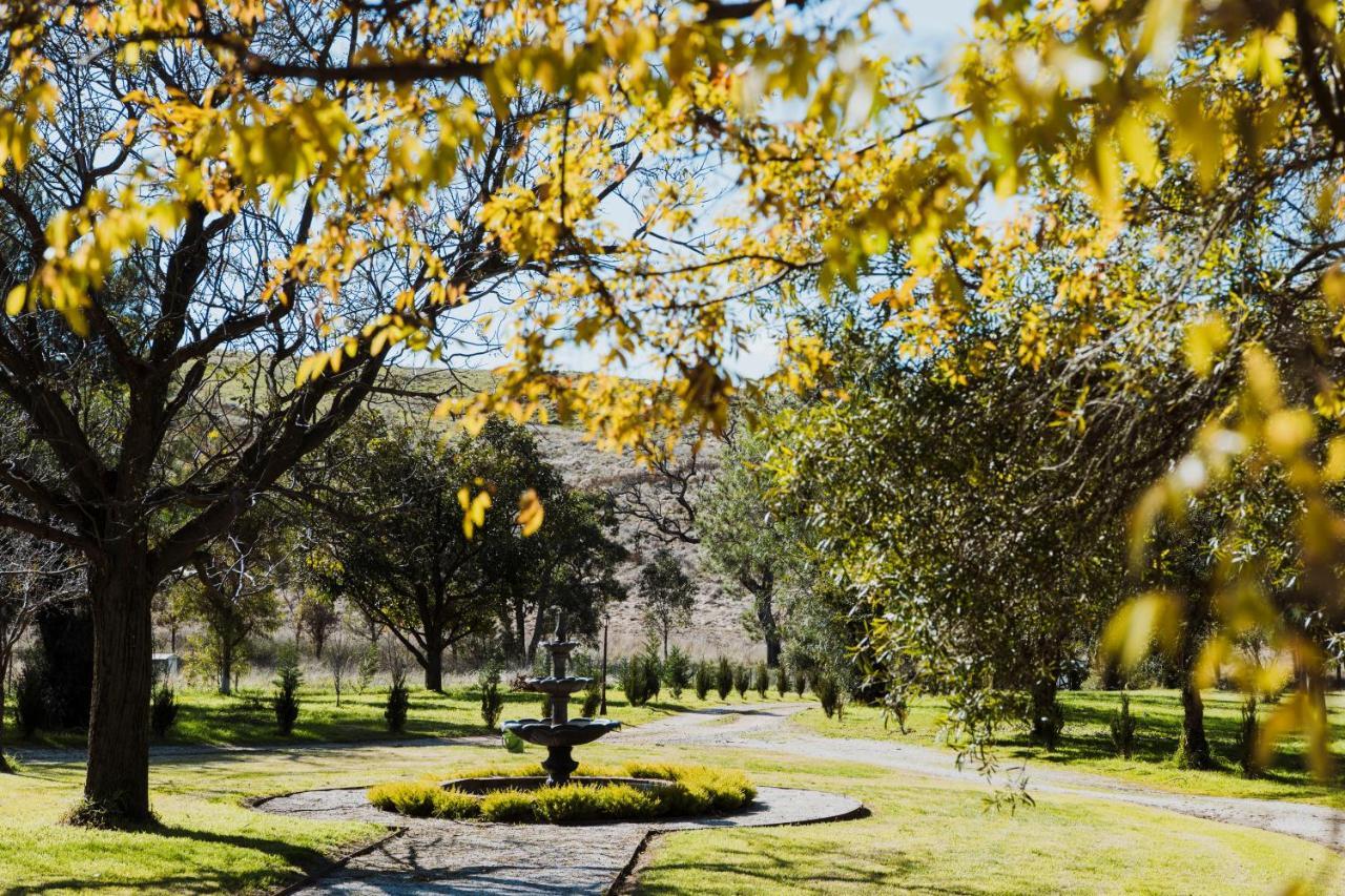 Enfield House Mudgee Panzió Kültér fotó